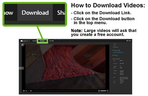 Instructions to download videos.  Click download link.  Then click Download button from top menu.